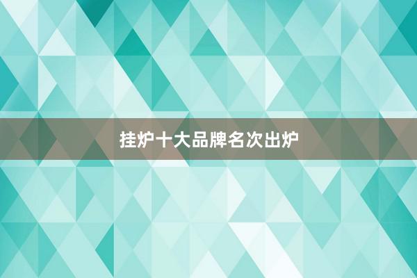 挂炉十大品牌名次出炉