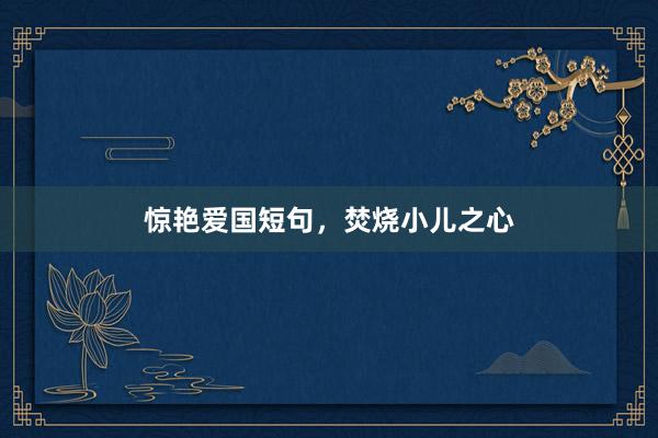 惊艳爱国短句，焚烧小儿之心