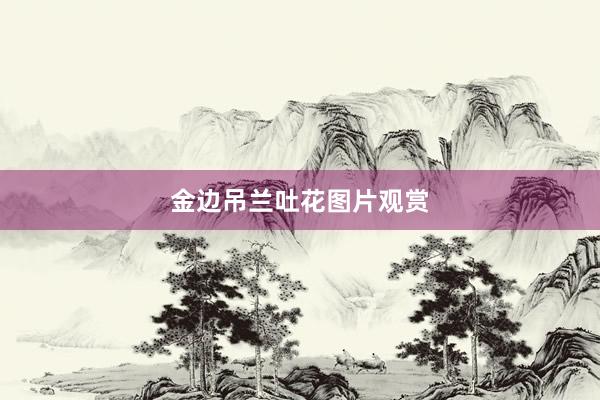 金边吊兰吐花图片观赏